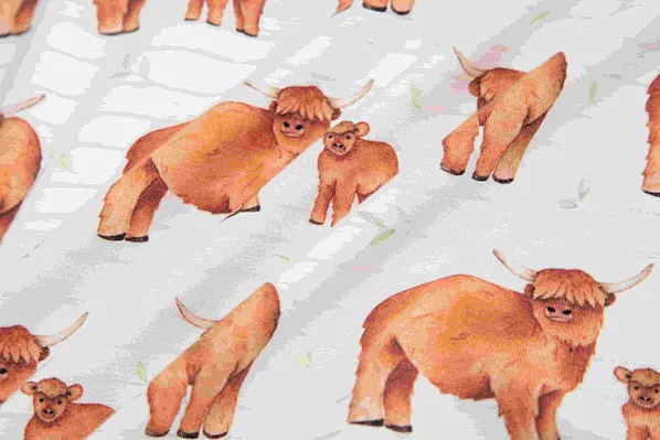 Baby Underwear