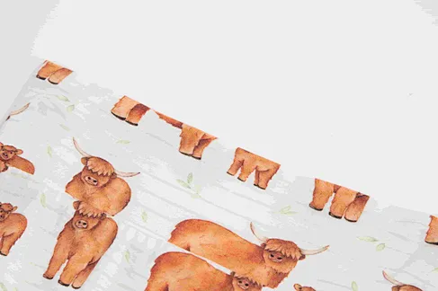 Baby Underwear